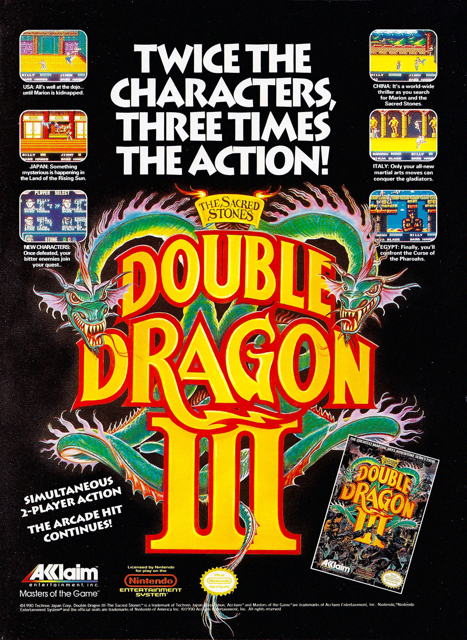 Double Dragon 3 flyer.jpg