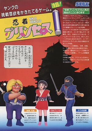Ninja flyer.jpg