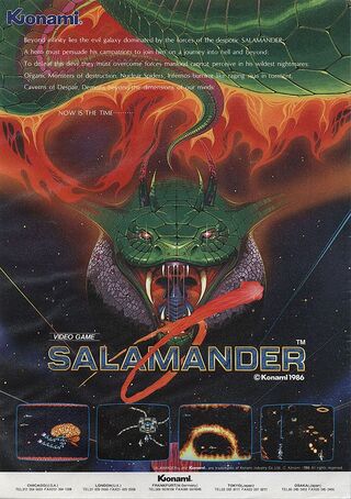 Salamander flyer.jpg