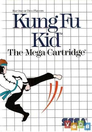 Kung Fu Kid.jpg