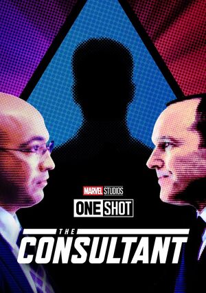 The Consultant cover.jpg
